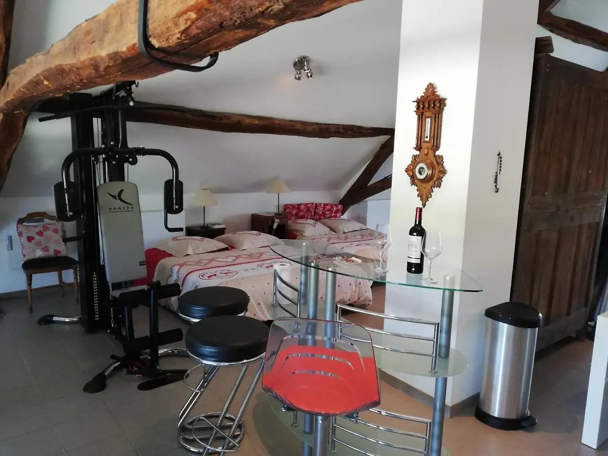 La Grange Bonal Apartment Saint-Laurent-du-Pont